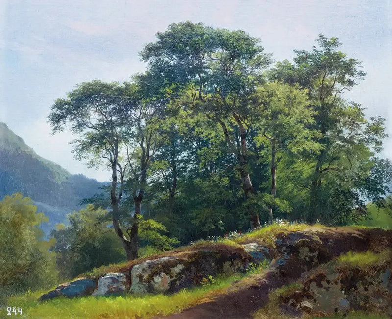 Birkeskov i Schweiz - Ivan Chichkine