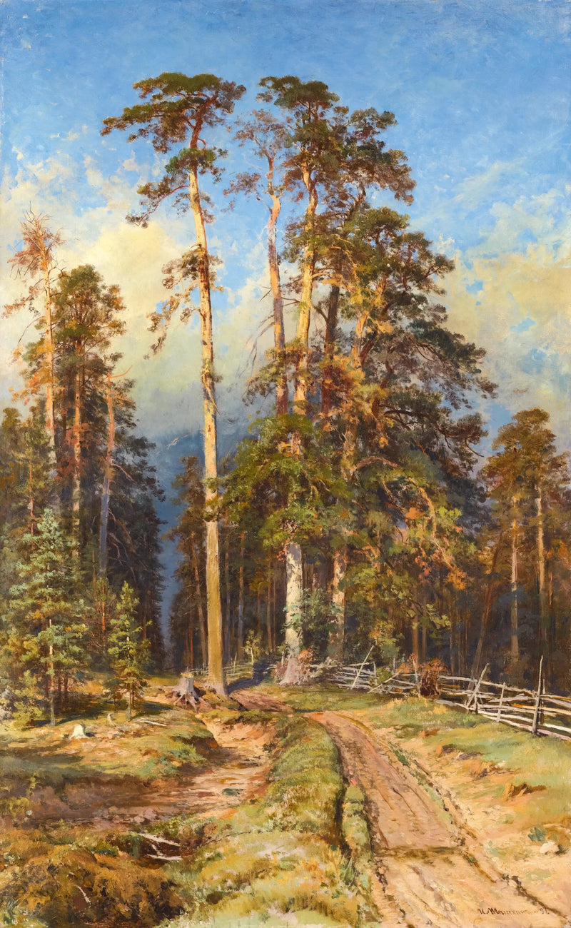 Fyrretræs skov - Ivan Chichkine