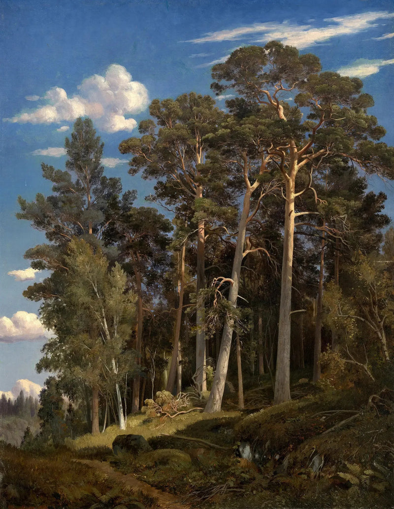 Fyrretræs skov - Ivan Chichkine
