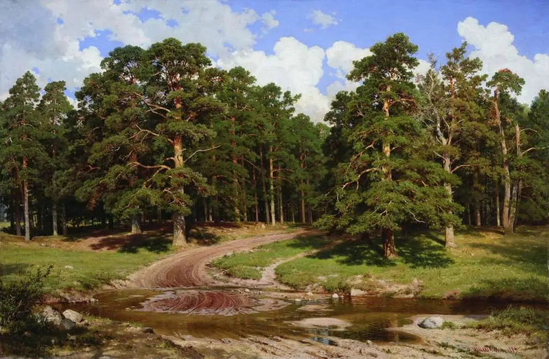 Fyrretræs skov - Ivan Chichkine
