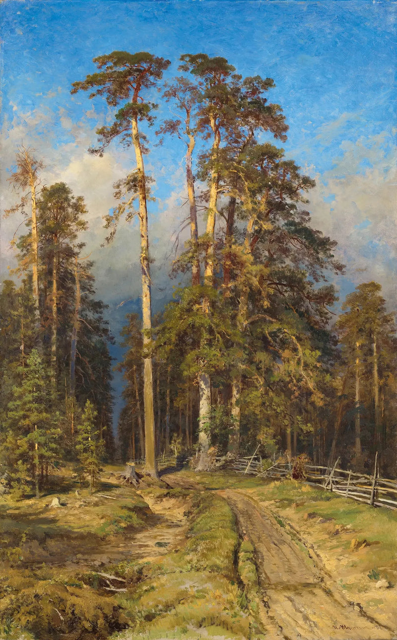 Fyrretræs skov - Ivan Chichkine