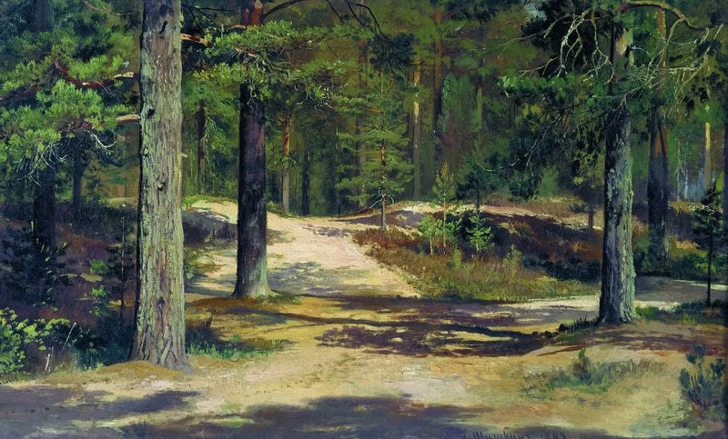 Fyrretræs skov - Ivan Chichkine