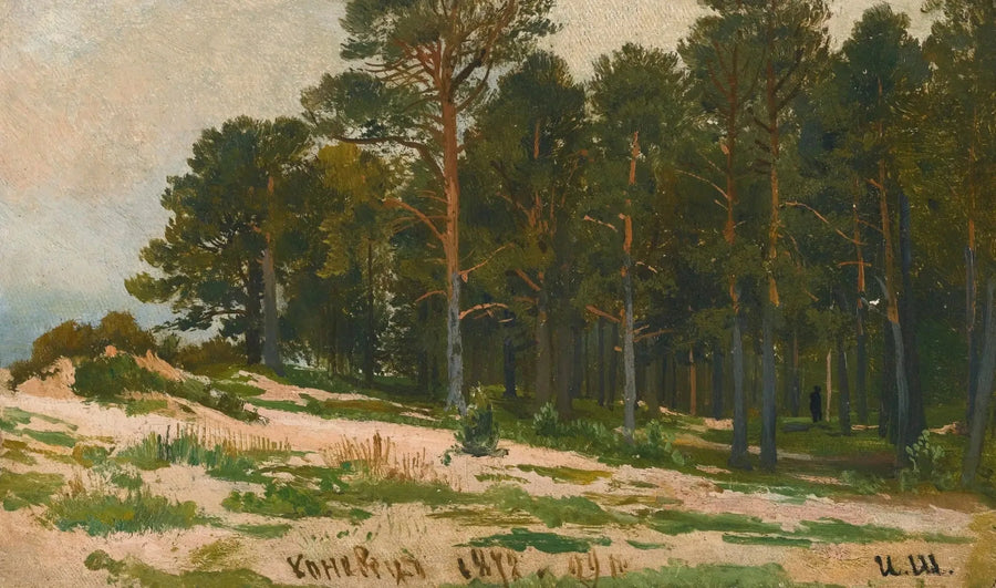 Fyrretræs skov - Ivan Chichkine