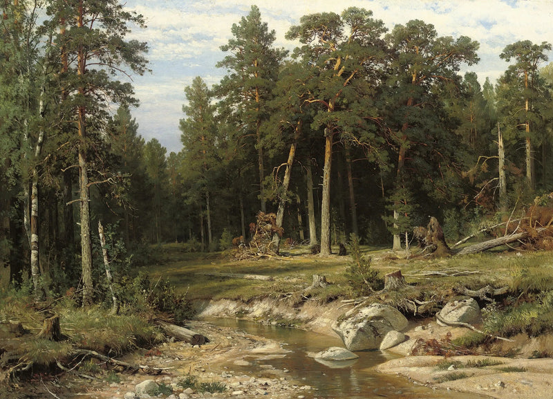 Fyrretræs skov i Viatka-provinsen - Ivan Chichkine