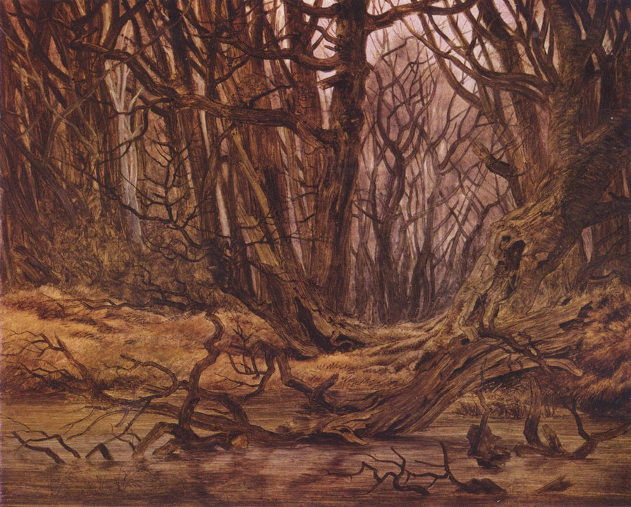 skov i slutningen af efteråret - Caspar David Friedrich