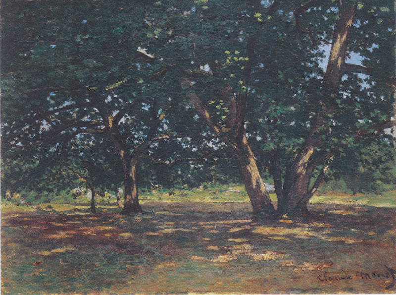 Fontainebleau Forest W59 - Claude Monet