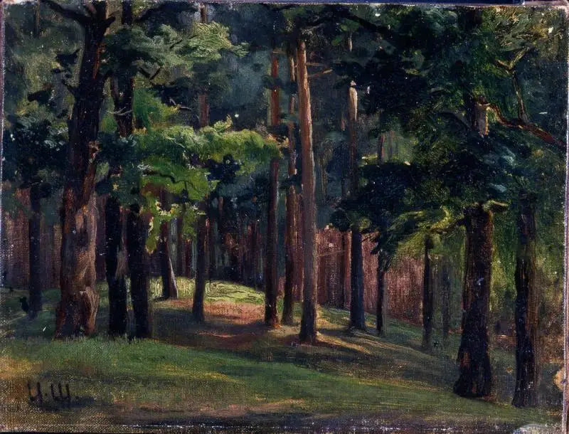 Skov - Ivan Chichkine