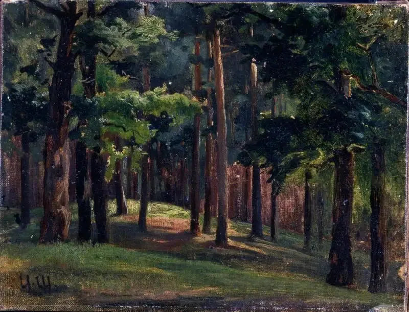 Skov - Ivan Chichkine