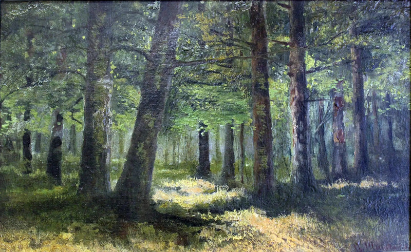 Skov - Ivan Chichkine