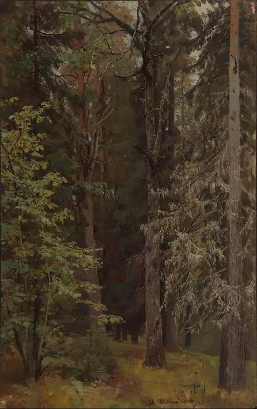 Blandet skov - Ivan Chichkine