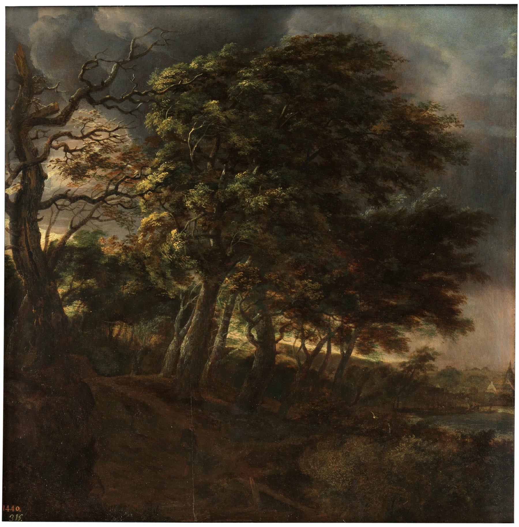 Forêt - Simon de Vlieger