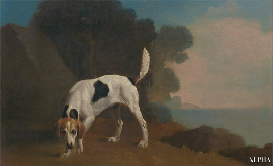 Foxhound - George Stubbs - Reproductions de tableaux et peintures haut de gamme