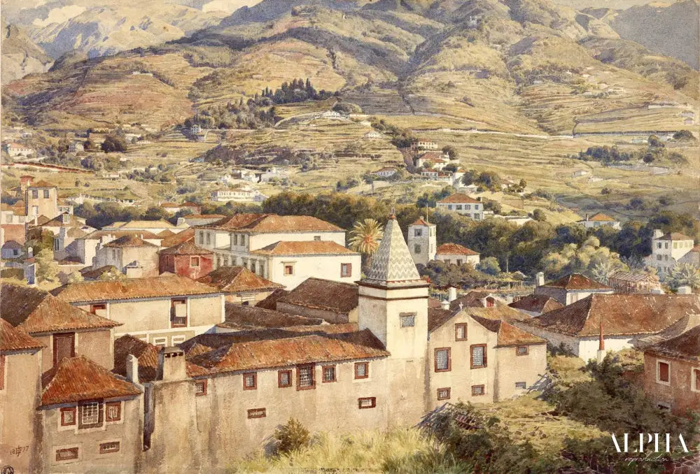 Funchal, soleil du matin - Edward Poynter - Reproductions de tableaux et peintures haut de gamme