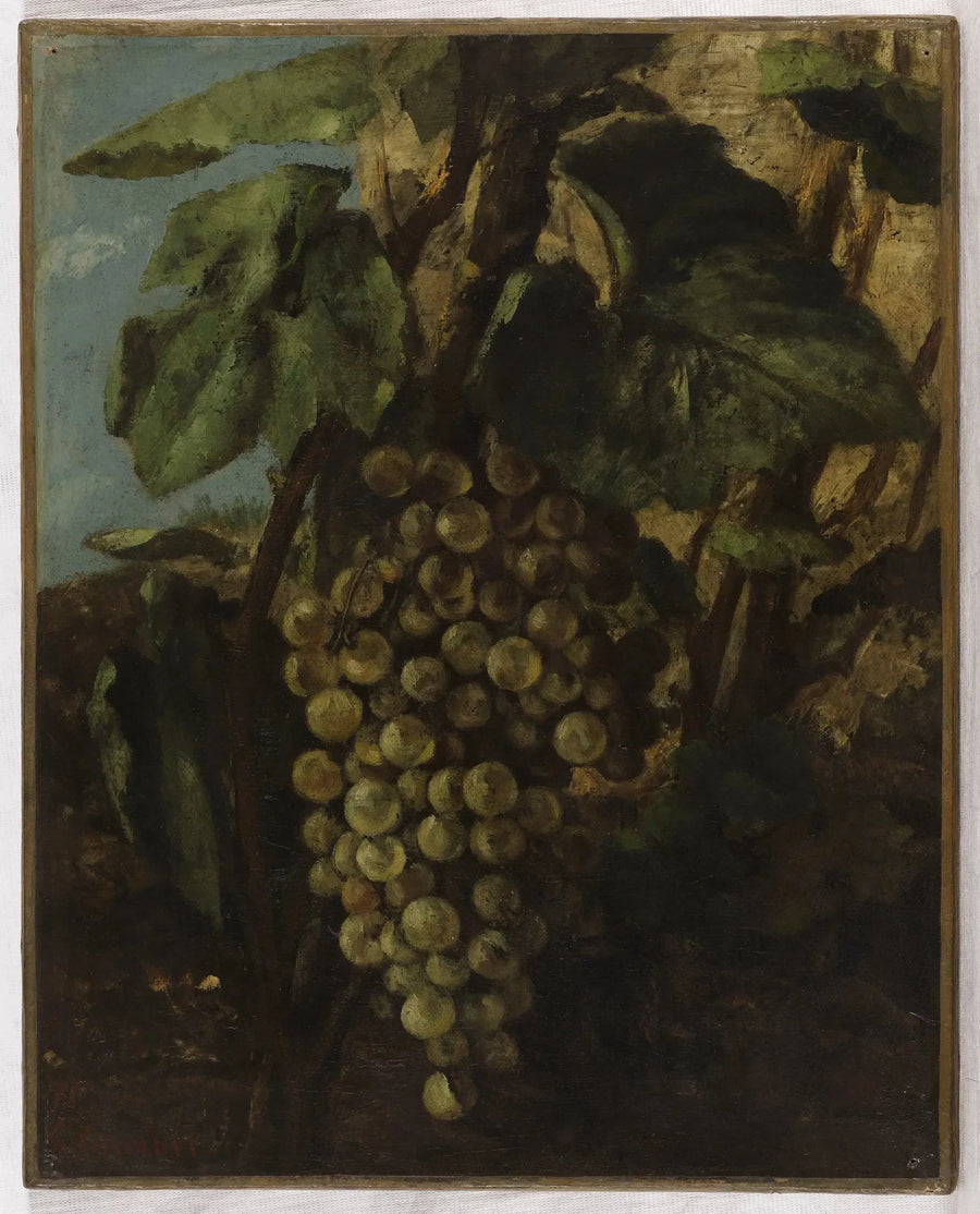 Drueklase - Gustave Courbet