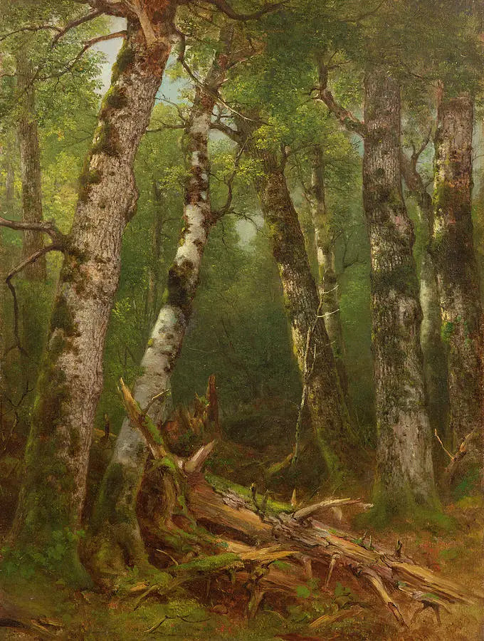 Gruppe af træer - Asher Brown Durand