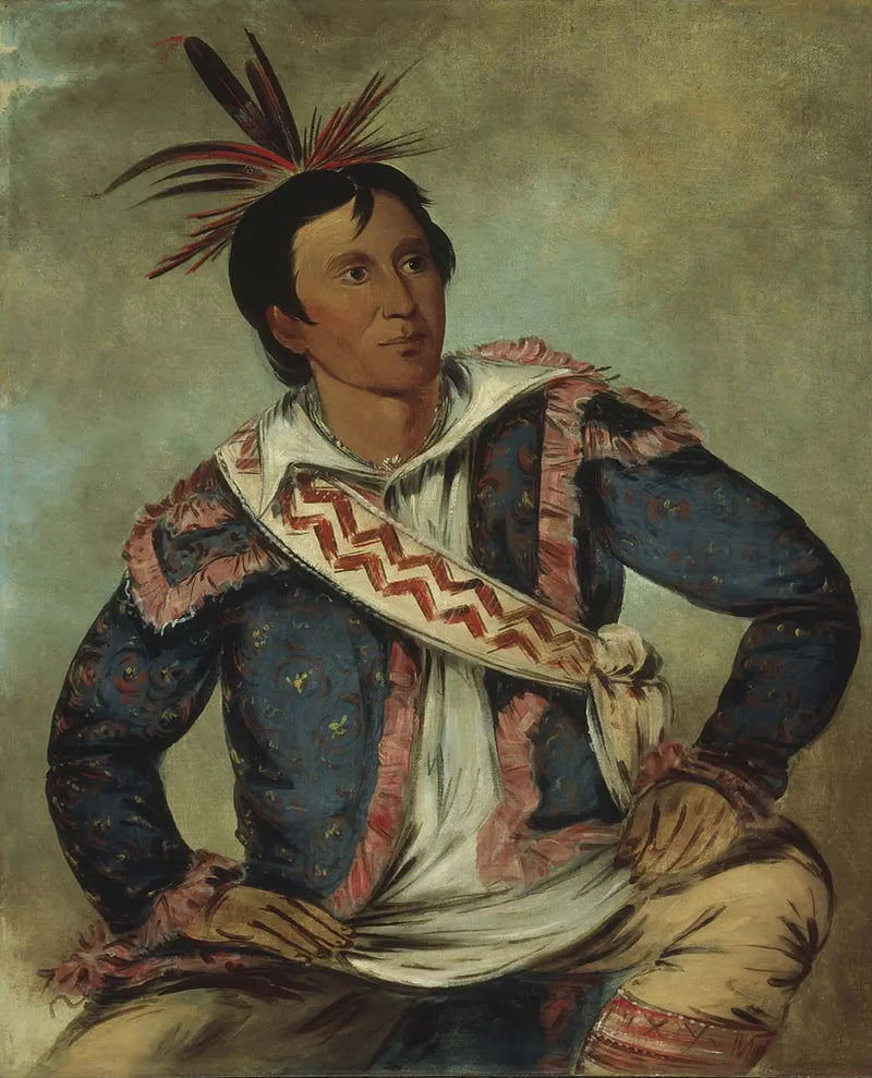 Há-tchoo-túc-knee, serpentin skildpadde, en métisse - George Catlin