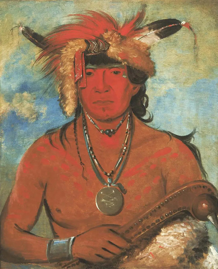 Háh-je-day-ah'-shee, Møde med fuglene, en modig - George Catlin