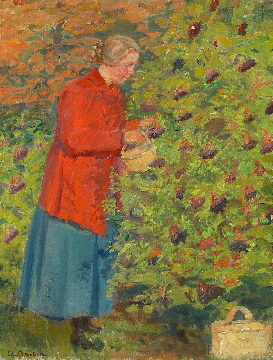 Helga Ancher plukker hyldebær. - Anna Ancher