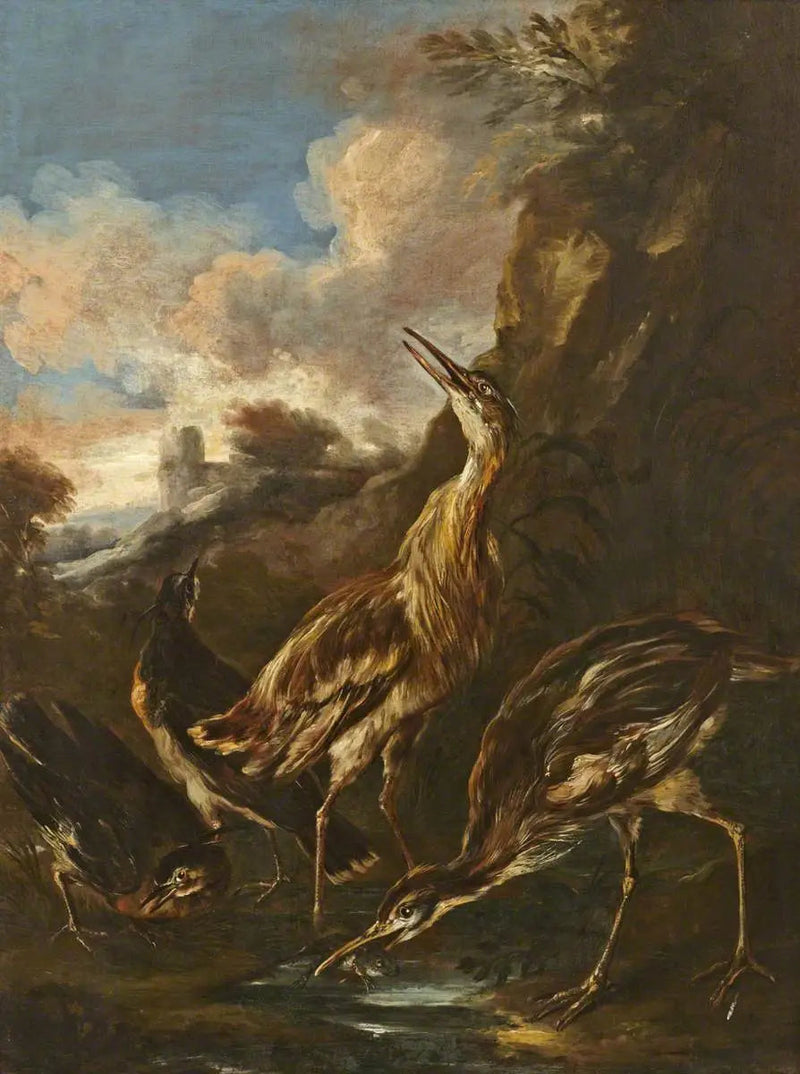 Høns og vadefugle - Melchior de Hondecoeter