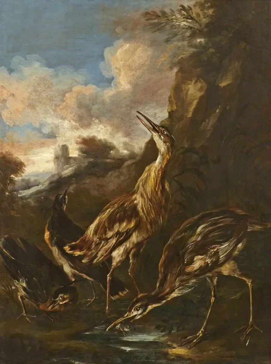 Høns og vadefugle - Melchior de Hondecoeter