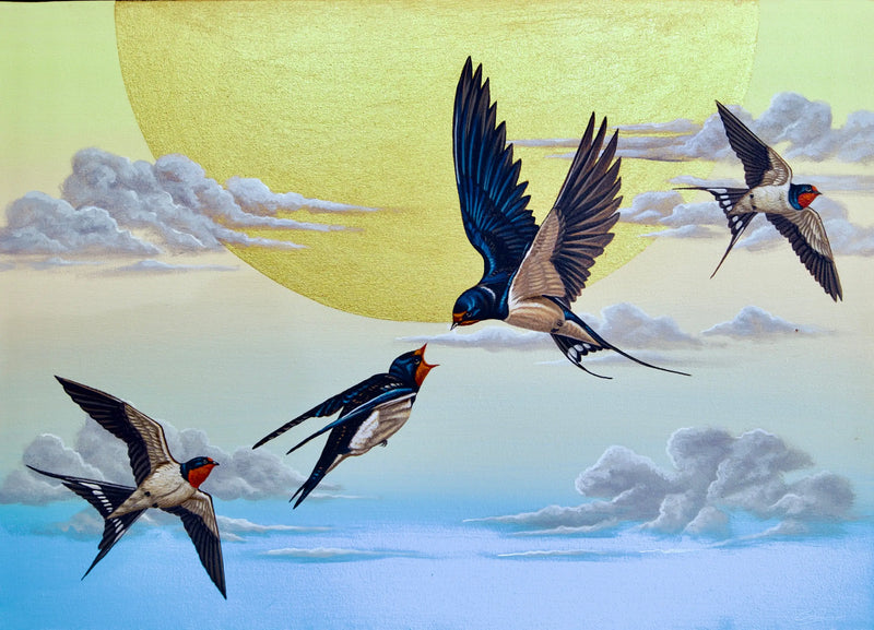 Svale i Himlen  | 70 x 50 cm