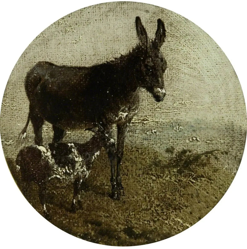 Otte cirkulære landbrugsscenerier: æsel og ged - John Frederick Herring, Sr.