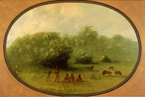 Indiens et chevaux dans la forêt - George Catlin - Alpha Reproduction