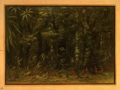 Indre af en amazonas-skov - Zurumati - George Catlin