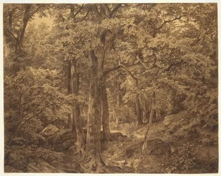 Indre af skoven - William Trost Richards