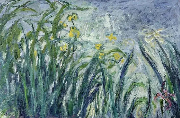 Gule og lilla iris - Claude Monet