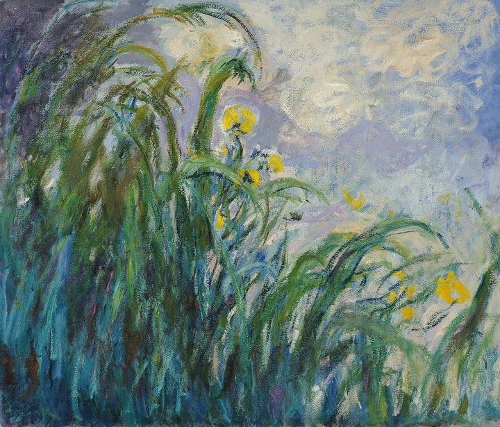 Den gule Iris - Claude Monet