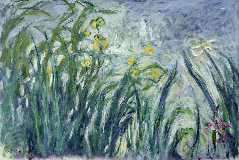Gule og lilla iris - Claude Monet