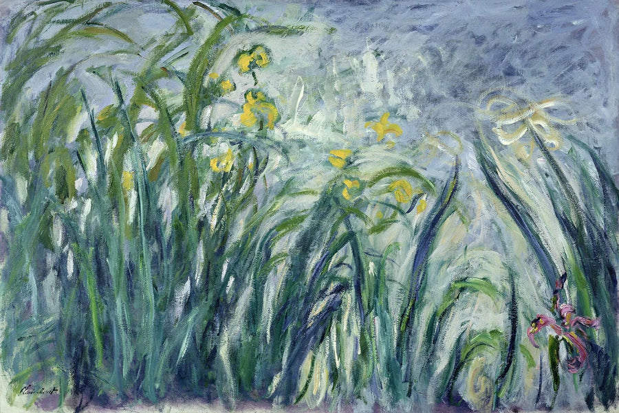 Gule og lilla iris - Claude Monet