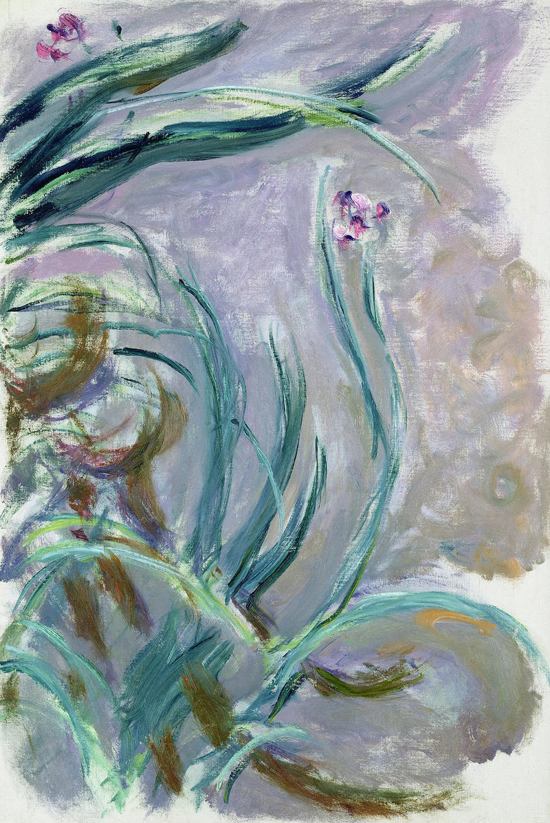 Iris - Claude Monet