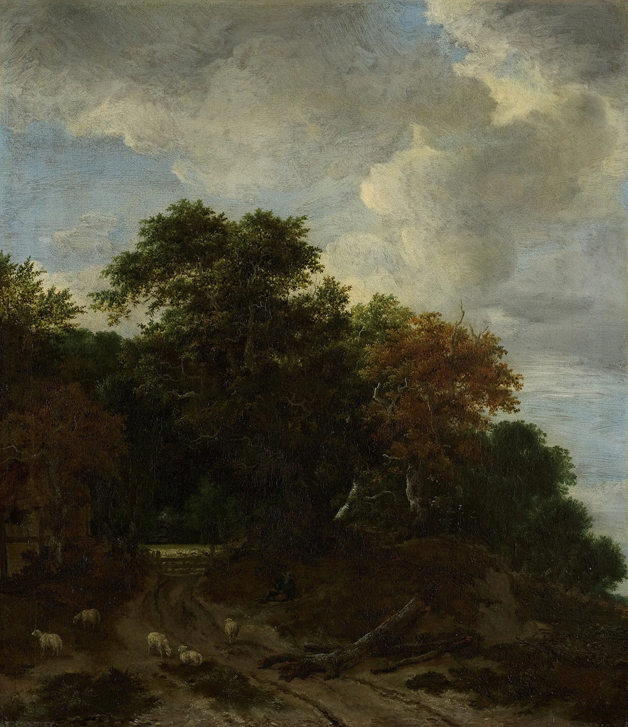 Paysage forestier de Princeton - Jacob van Ruisdael