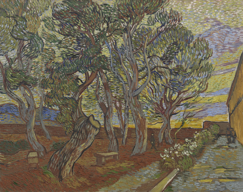 Asylhaven - Vincent van Gogh
