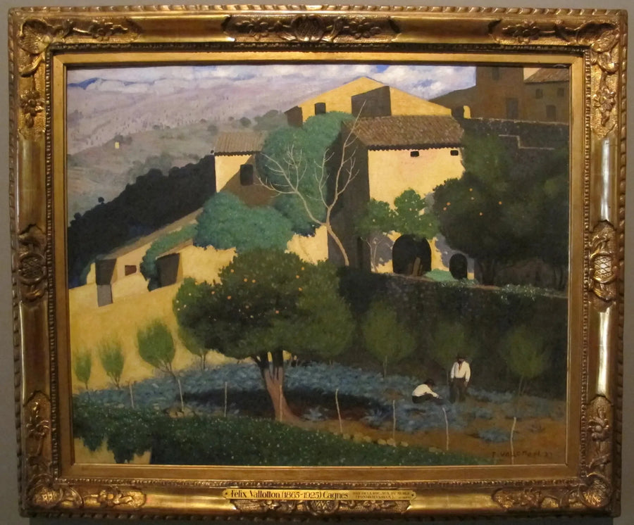 Citrus Have i Cagnes - Félix Vallotton