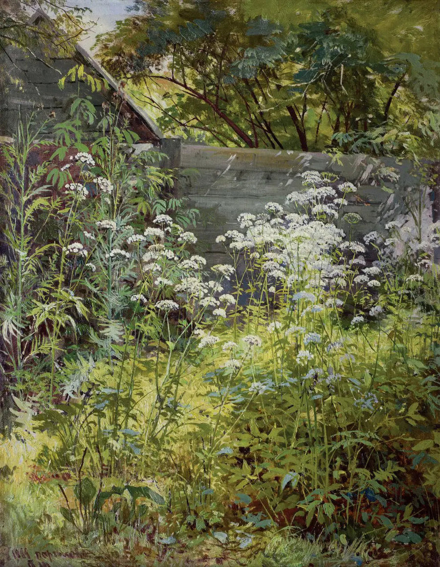 Hjørnegård invaderet af vegetation. Aegopodium - Ivan Chichkine