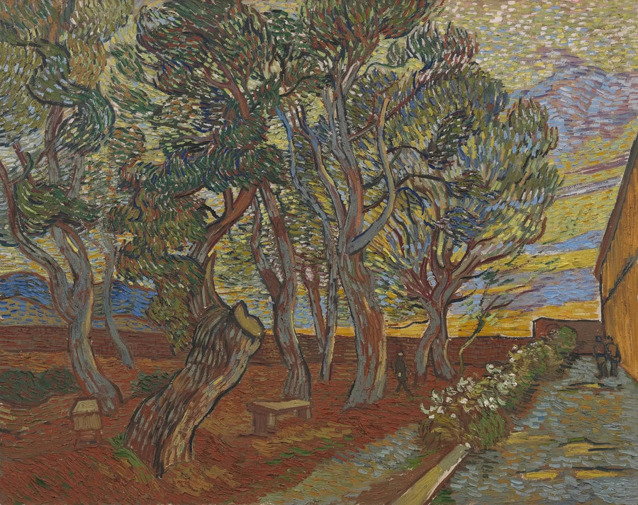 Asylhaven - Vincent van Gogh