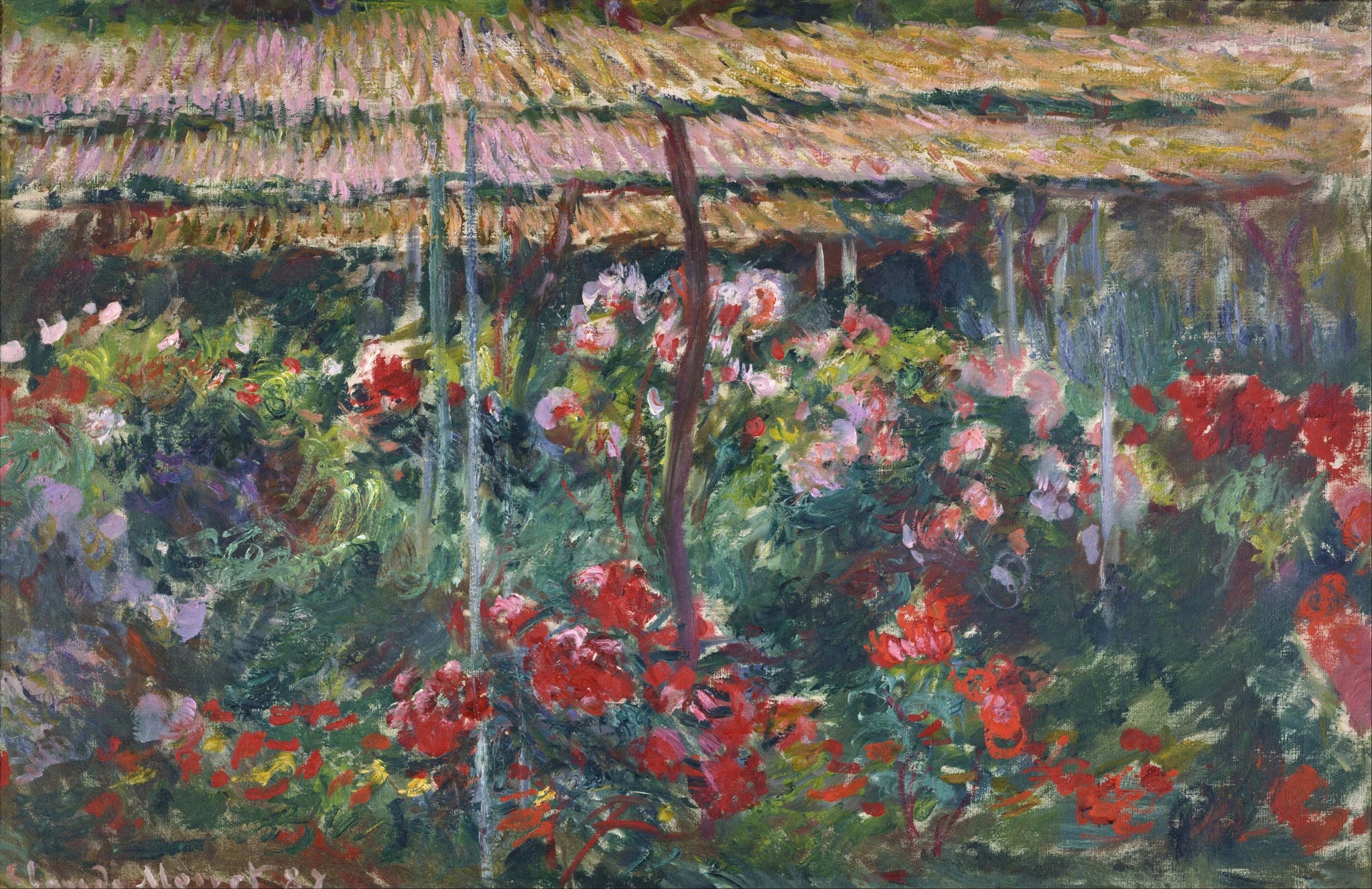 Jardin de pivoines W1140 par Claude Monet, Musée national de l’Art occidental de Tokyo