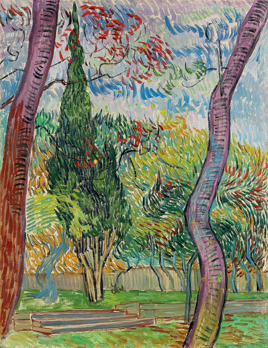 Parken ved Saint-Paul Hospital - Vincent van Gogh