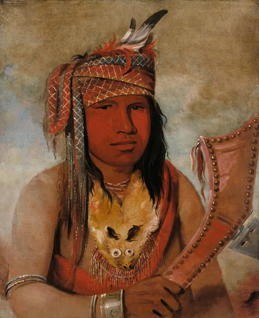 Jeg-er-noget-dick, Caribou han, en modig - George Catlin
