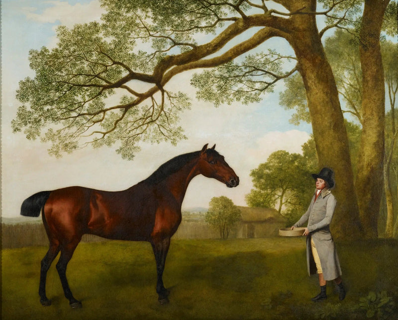 John Gascoigne med en brun hest - George Stubbs