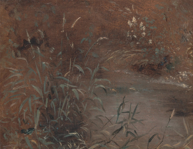 Joncs ved kanten af en swimmingpool - John Constable