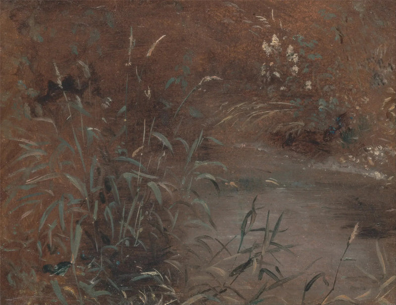 Joncs ved kanten af en swimmingpool - John Constable