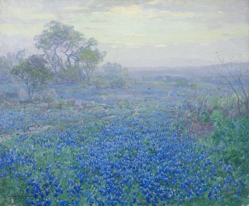 Overskyet dag, blå lupiner nær San Antonio, Texas - Julian Onderdonk