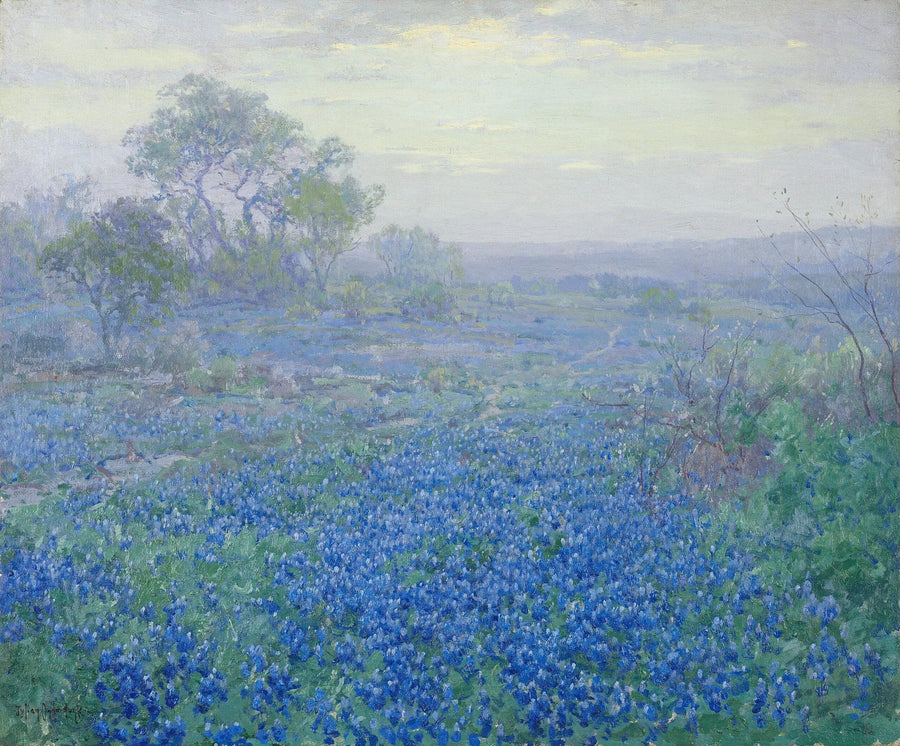 Overskyet dag, blå lupiner nær San Antonio, Texas - Julian Onderdonk