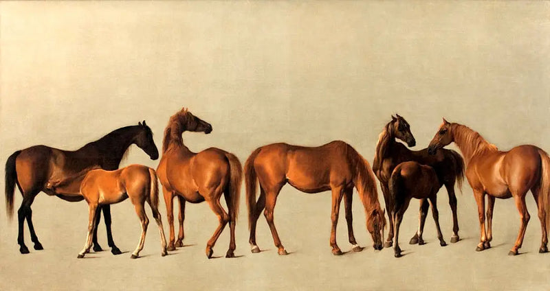 Heste og føl uden tidligere historie - George Stubbs