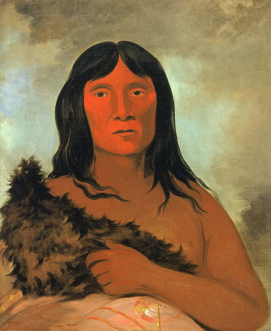 Kay-ée-qua-da-kúm-ee-gísh-kum, Den der sonder jorden med sin fod - George Catlin