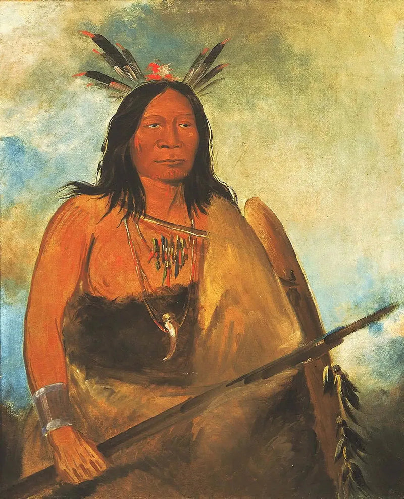 Kots-o-kó-ro-kó, Tyrkinds halsfjer, en chef - George Catlin